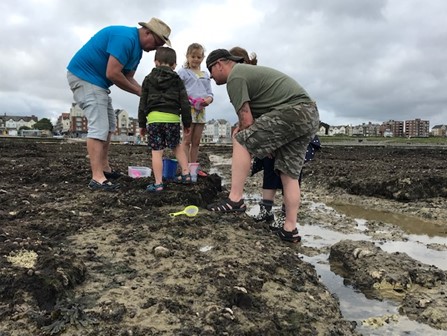Three adults and 2 children stood on seaweed covered rocks looking at what they have found on the beach