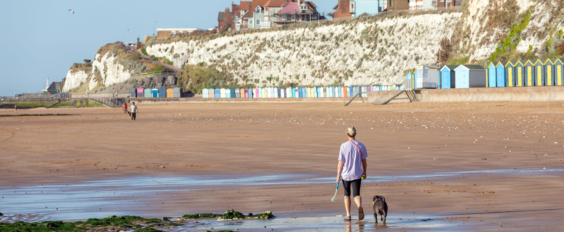 A woman walks two dogs across the wide, sandy expanse of Stone Bay at low tide, with towering white chalk cliffs and a long row of colorful beach huts in the background.