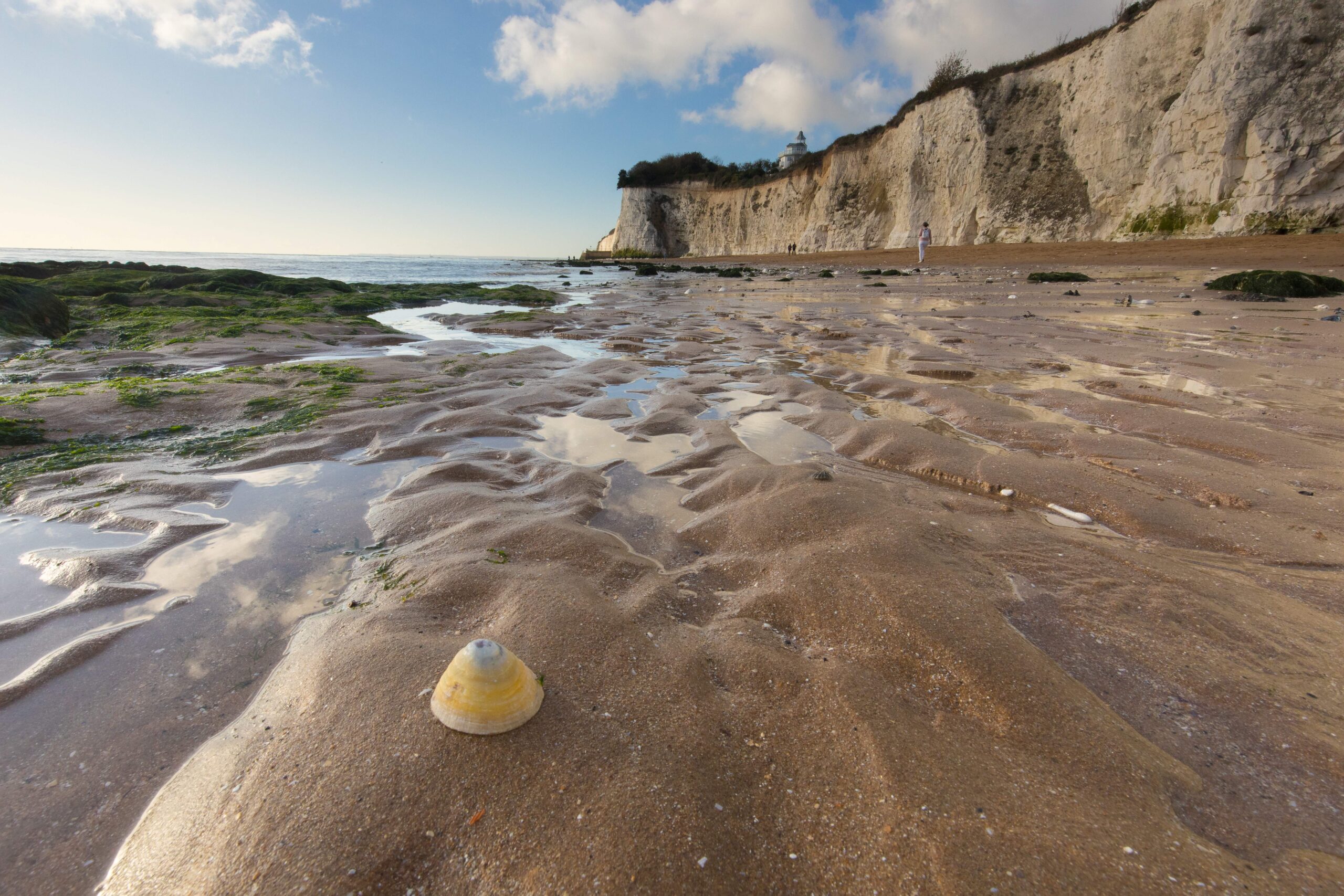 Chalk cliffs, sand uncovered with shells, puddles and rocks showing