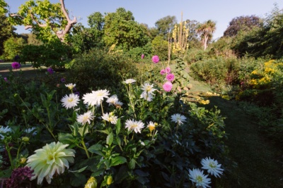 Gardens-at-Quex-House-and-Gardens-Home-to-the-Powell-Cotton-Museum-Birchington-L.-Credit-@VisitThanet