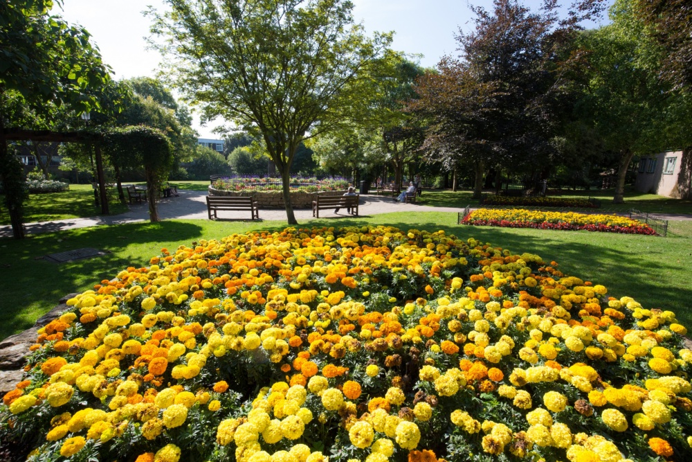 Pierremont-Park-gardens-Broadstairs.-Credit-@VisitThanet