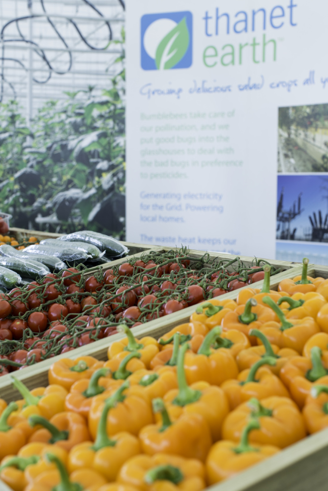 Thanet-Earth-peppers-and-tomatoes-at-Broadstairs-Food-Festival.-Credit-@VisitThanet