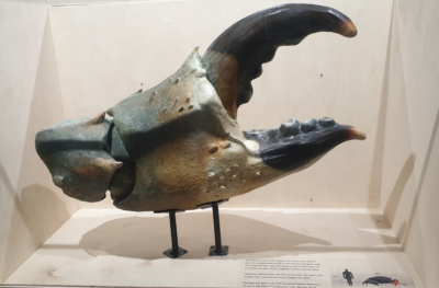 Crab-Museum-Margate-claw.-Credit-@VisitThanet