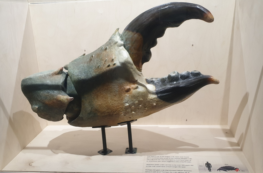Crab-Museum-Margate-claw.-Credit-@VisitThanet