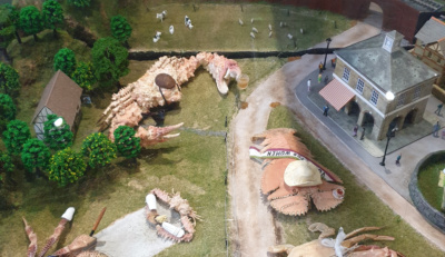 Crab-Museum-Margate-display.-Credit-@VisitThanet