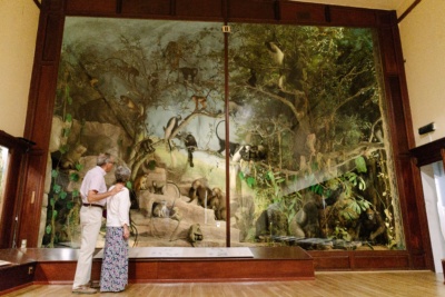 Gallery-1-Quex-House-and-Gardens-Home-to-the-Powell-Cotton-Museum.-Credit-@VisitThanet