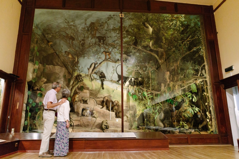 Gallery-1-Quex-House-and-Gardens-Home-to-the-Powell-Cotton-Museum.-Credit-@VisitThanet