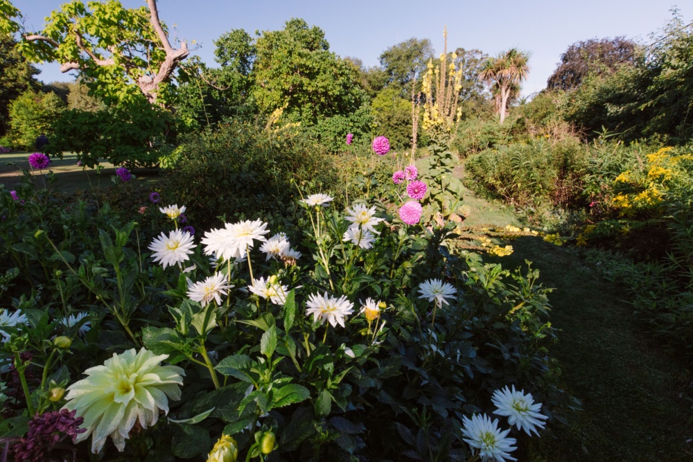 Gardens-at-Quex-House-and-Gardens-Home-to-the-Powell-Cotton-Museum-Birchington-L.-Credit-@VisitThanet