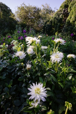 Gardens-of-Quex-House-and-Gardens-Home-to-the-Powell-Cotton-Museum-Birchington.-Credit-@VisitThanet