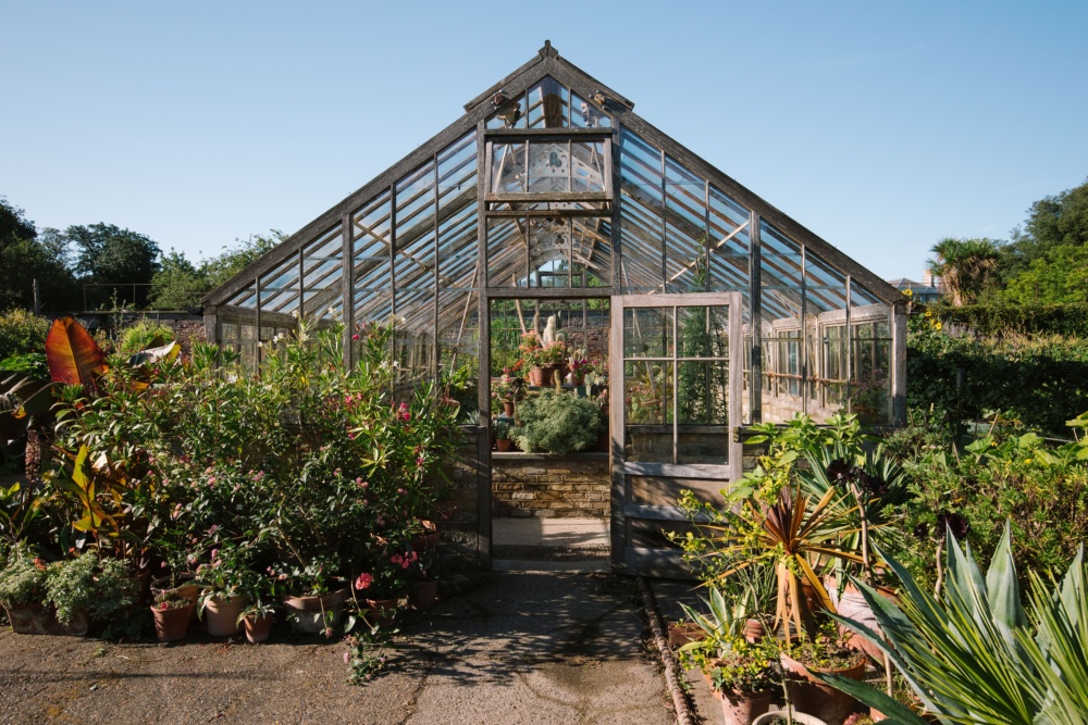 Greenhouse-at-Quex-House-and-Gardens-Home-to-the-Powell-Cotton-Museum-Birchngton.-Credit-@VisitThanet