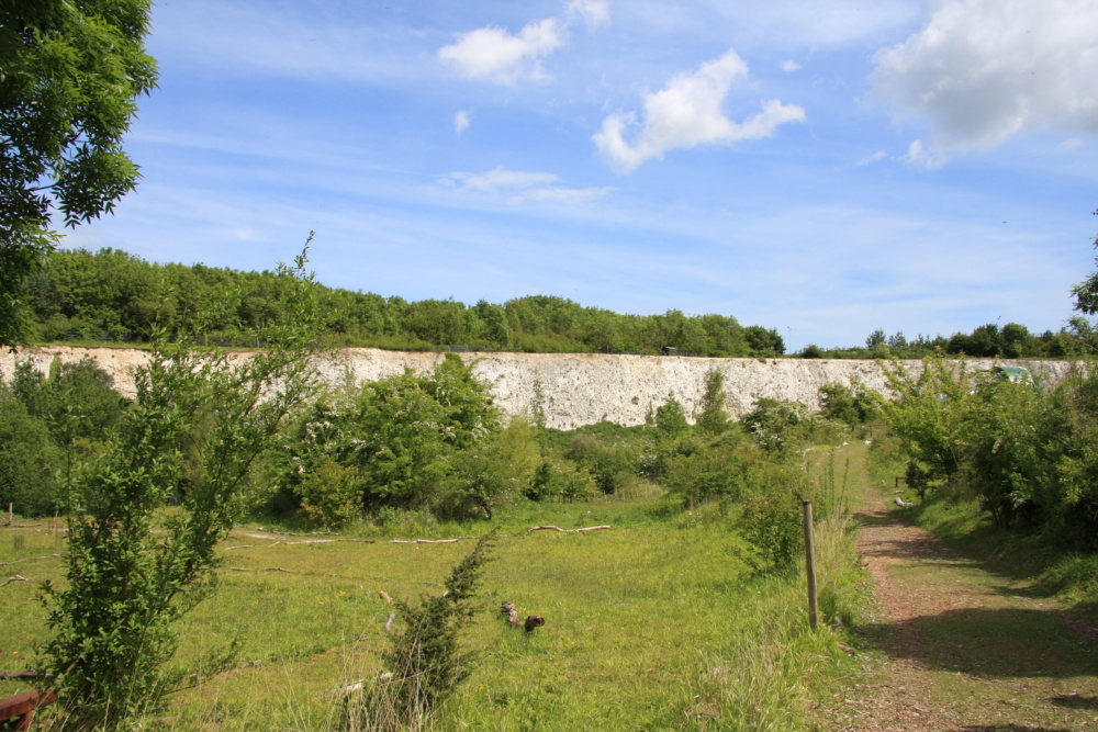 Monkton-Nature-Reserve.-Credit-@VisitThanet