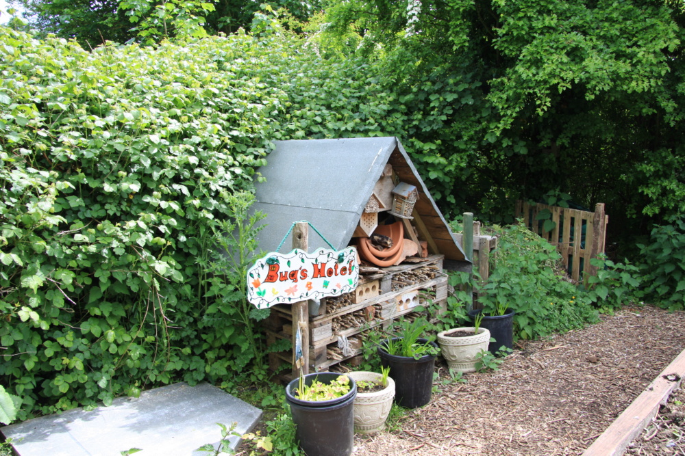 Monkton-Nature-Reserve-bug-hotel.-Credit-@VisitThanet