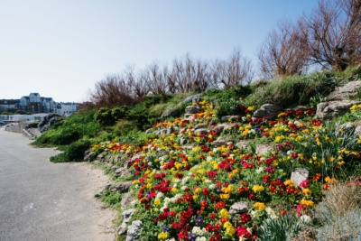 St-Mildred_s-Bay-Westgate-on-Sea.-Credit-@VisitThanet