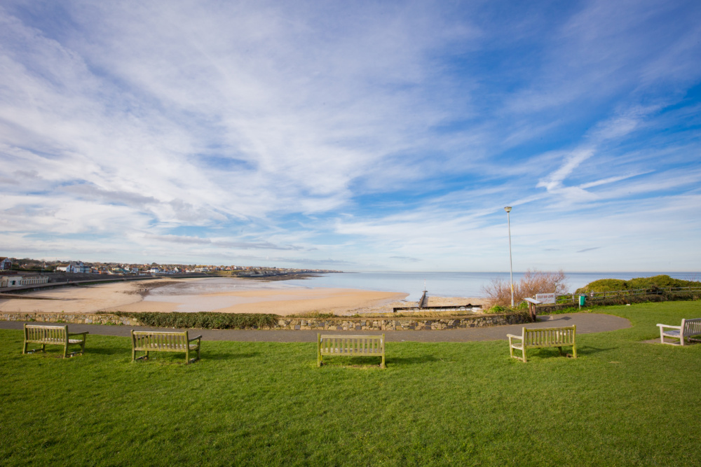 West-Bay-Dog-Walkers-View-12-1